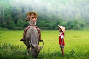 （示意圖：互聯網）