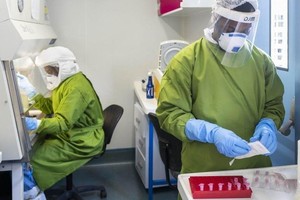 世界衛生組織正在幫助各國提高對新冠病毒的檢測能力。（圖：WHO）