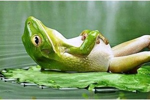 （示意圖：互聯網）