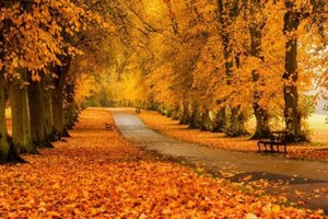 （示意圖：互聯網）