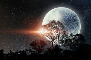 （示意圖：互聯網）