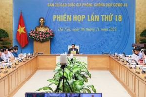 政府總理范明政主持會議。（圖：VGP）