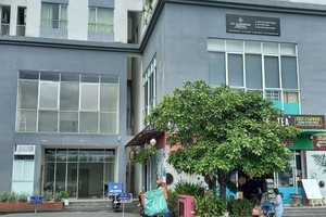 第十二郡泰安坊Zen Tower社會住房項目一角。