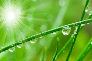 （示意圖：互聯網）