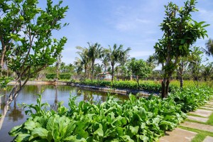 發展旅遊與環保相結合