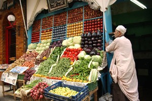 圖為埃及吉薩街頭市場的一個蔬果攤。（圖：FAO）