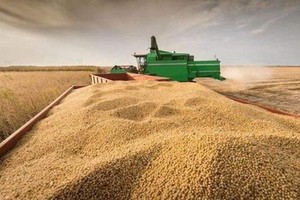 （示意圖：互聯網）