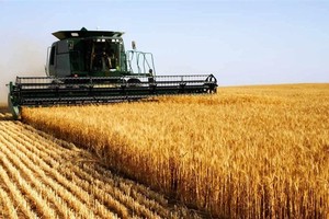 俄致力於全球糧食安全