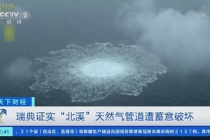 （圖：視頻截圖）