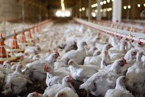 （示意圖：互聯網）