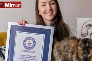 長壽貓相當於人類 120 多歲