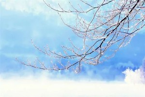 （示意圖：互聯網）