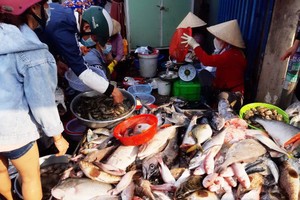 食品安全從生產、加工到經營環節都須得到確保。