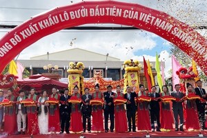 檳椥綠皮柚首次外銷美國