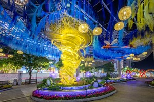 阮惠花街夜景一隅。（圖：互聯網）