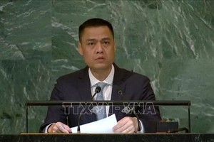 越南駐聯合國代表團團長鄧黃江大使在會上發表講話。（圖：越通社）
