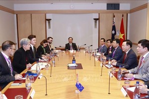 國會主席王廷惠接見澳大利亞外交部長黃英賢。（圖：越通社）