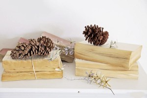 （示意圖：互聯網）