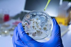 （示意圖：ShutterStock）