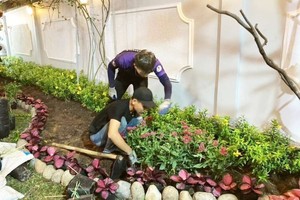 景觀與園藝技術系的學生正在實行園林設計。