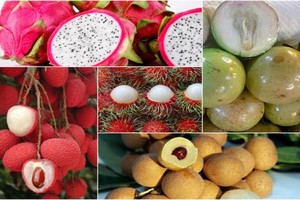 （示意圖：互聯網）