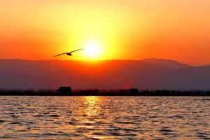 （示意圖：互聯網）