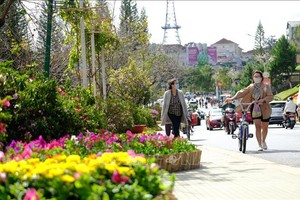 大勒市和平街區一隅。（圖：越通社）