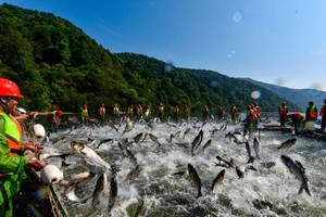 （示意圖：互聯網）