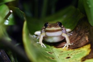 （示意图：互联网）