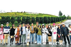 国内旅遊产品备受欢迎。