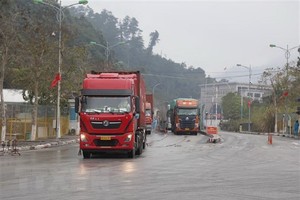 运载货物的大货车经友谊国际口岸入境越南。（图：越通社）