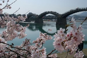 （示意图：互联网）