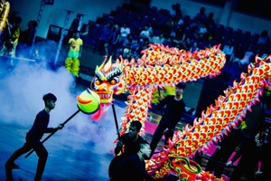 一年一度的龙狮汇演本周末开幕。