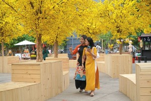 市民在越南春节盛会遊玩。（图：英秀）