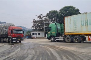 老街金成2号陆路口岸货车川流不息。（图：越通社）