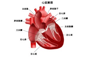 高血压患者为高危人群！