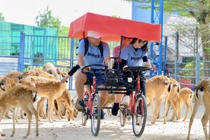 游客乘车在参观动物并交流。