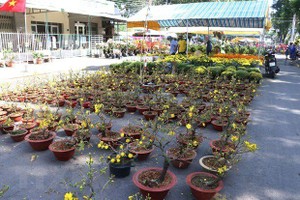 2023癸卯年春花会。