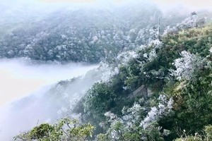 北部寒冷 南部炎热