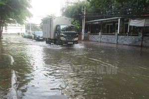 本市主动应对春节潮汛上涨