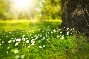 （示意图：互联网）