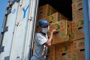 第一批榴梿通过谅山口岸出口。