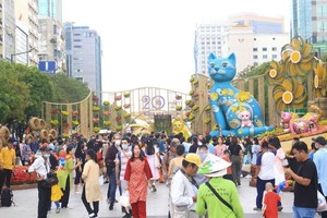 今年春节，阮惠花街迎来约120万人次遊客观光。