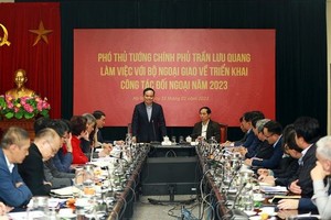 政府副总理陈留光（站）在会议上发表讲话。（图：VGP）