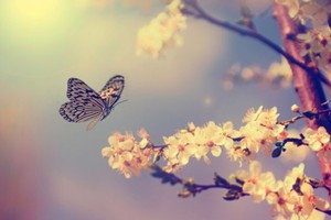 （示意图：互联网）