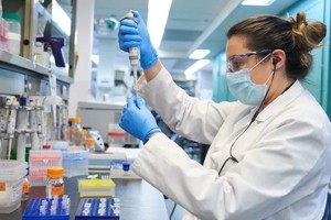 图为 Medicago 实验室一隅。（图：Medicago）