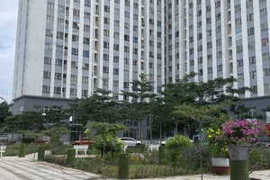 在本市的一个社会住房项目。