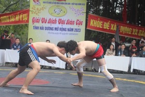 两名运动员比赛。（图：互联网）