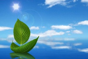 （示意图：互联网）