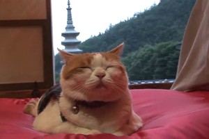 （示意图：互联网）